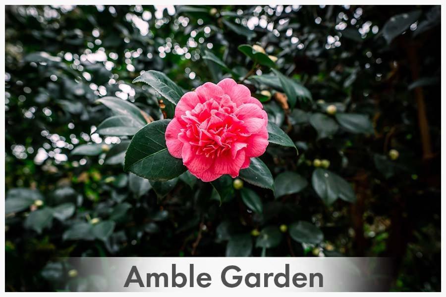 Amble At Hahndorf Bed & Breakfast Екстериор снимка
