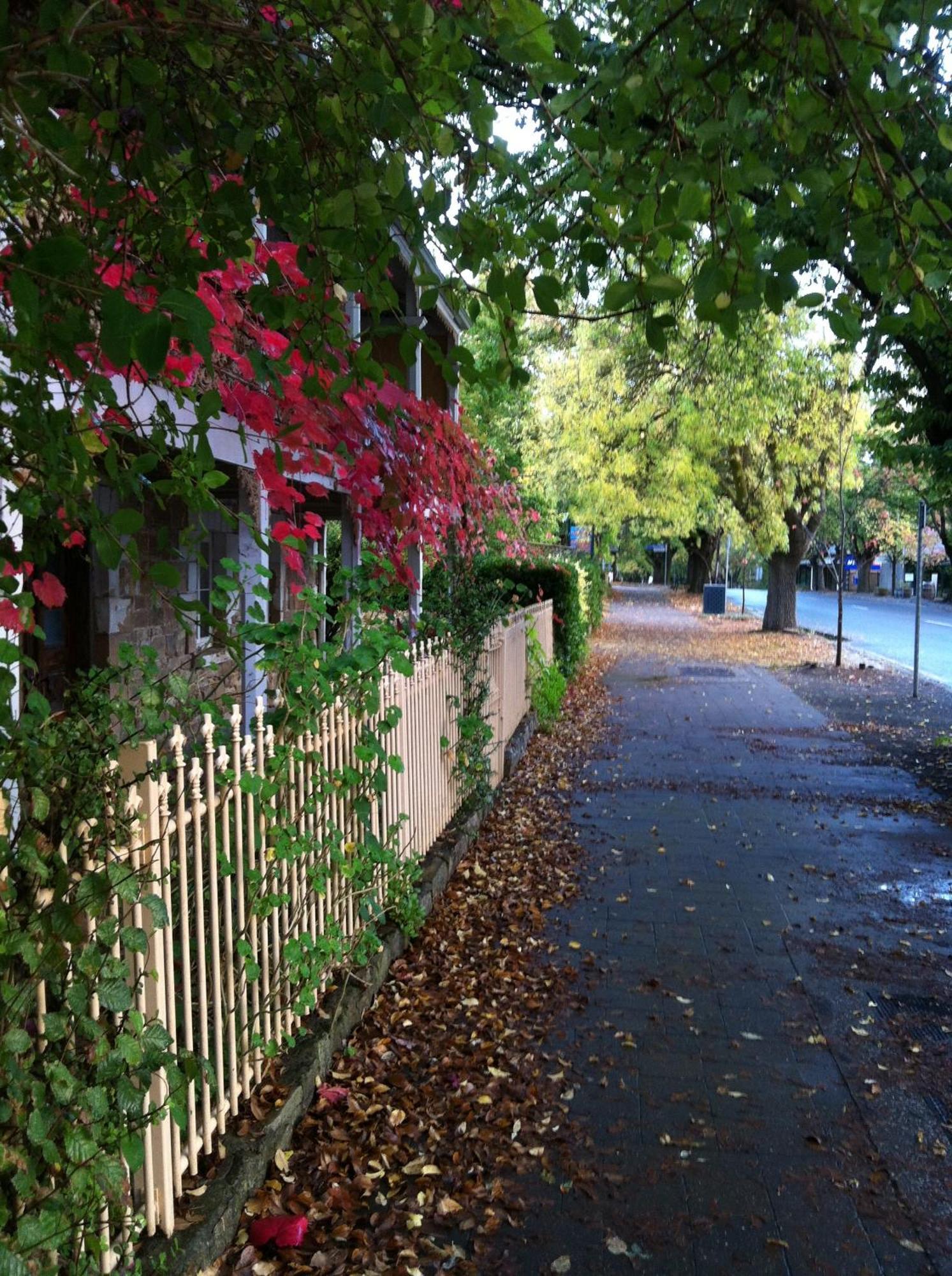 Amble At Hahndorf Bed & Breakfast Екстериор снимка