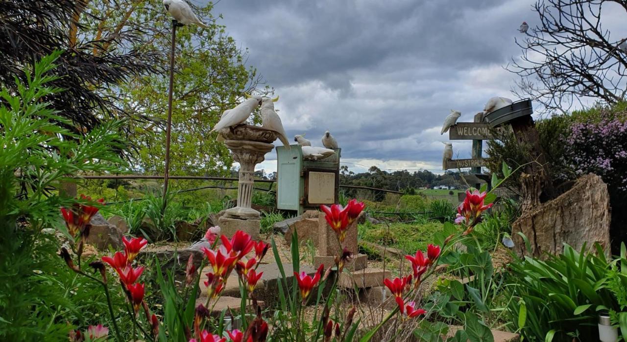 Amble At Hahndorf Bed & Breakfast Екстериор снимка